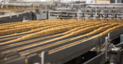 biscuit solution manufacturer