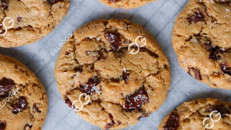 cookie production line