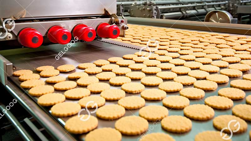 marie biscuit making machine