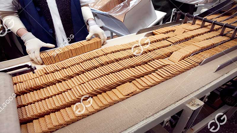 linha de produção automática de biscoitos