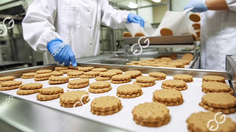 commercial bourbon biscuit making machine