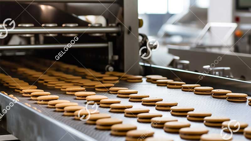 commercial bourbon biscuit making machine