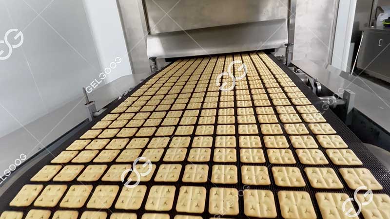 cracker making machine manufacturer