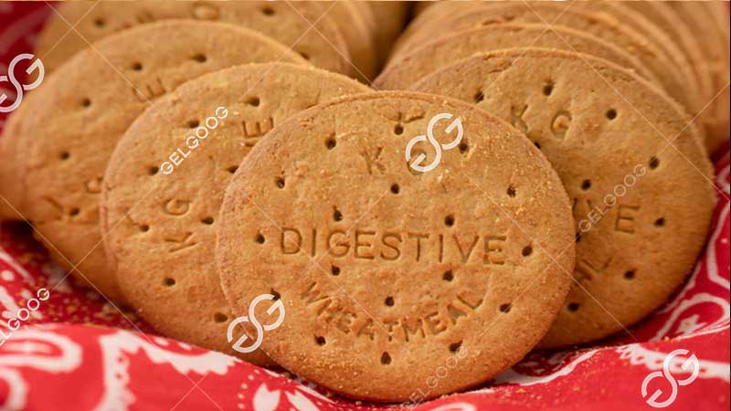 digestive biscuit making machine price