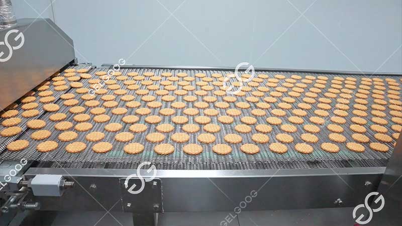 digestive biscuit making machine price
