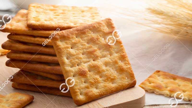 máquina para hacer galletas de fantasía