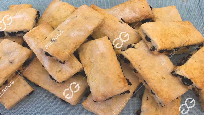 garibaldi biscuit production line