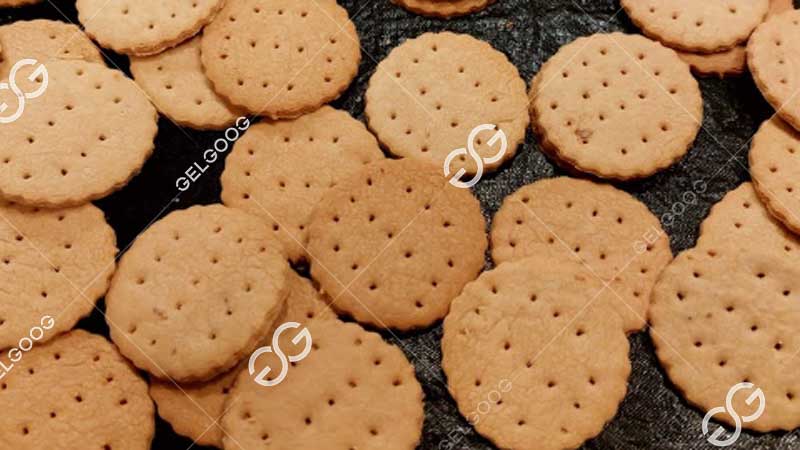 marie biscuit making machine