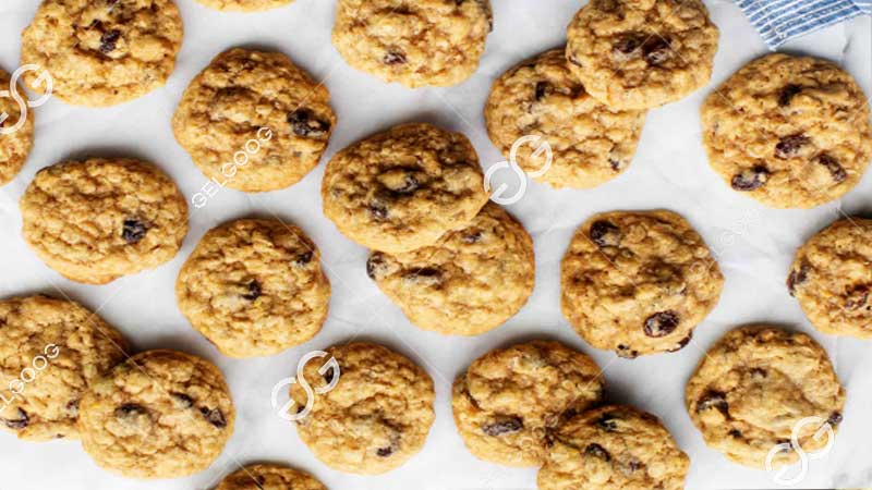 oatmeal cookies making machine
