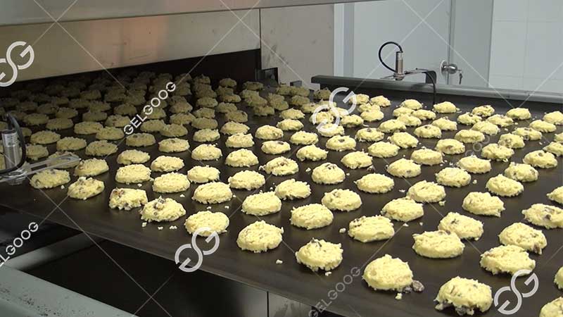 oatmeal cookies making machine price