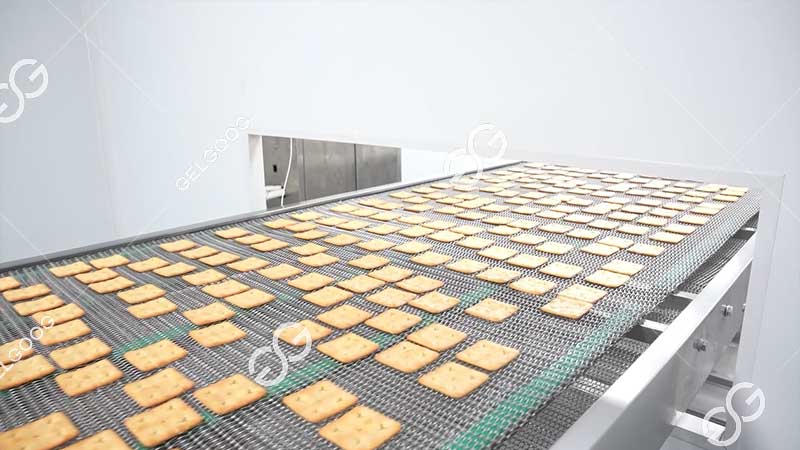 línea de procesamiento de cracker de sosa