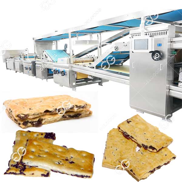 garibaldi biscuit production line