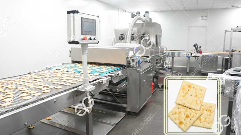 biscuit processing equipment