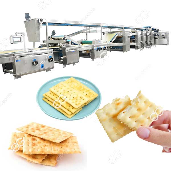 biscuit processing line