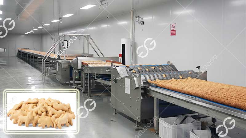 biscuit processing equipment