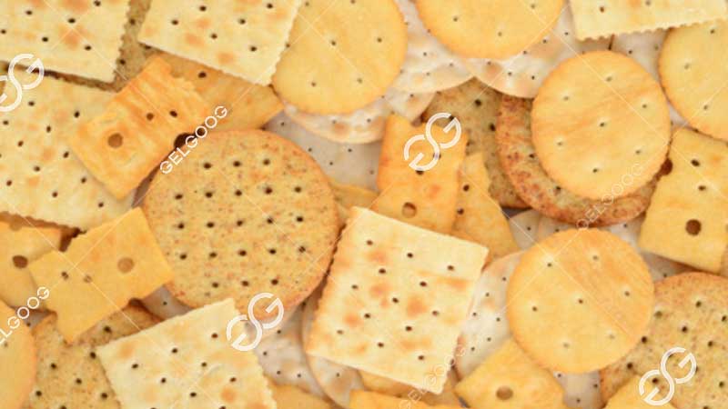 biscuit processing equipment