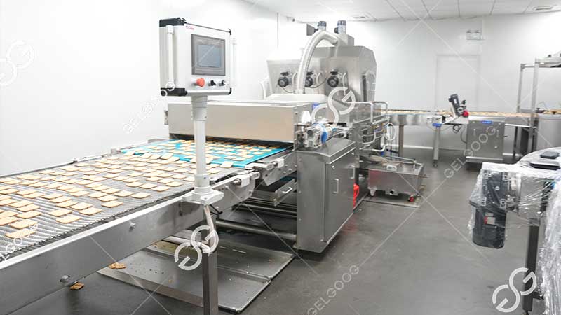 équipement de production de biscuits durs