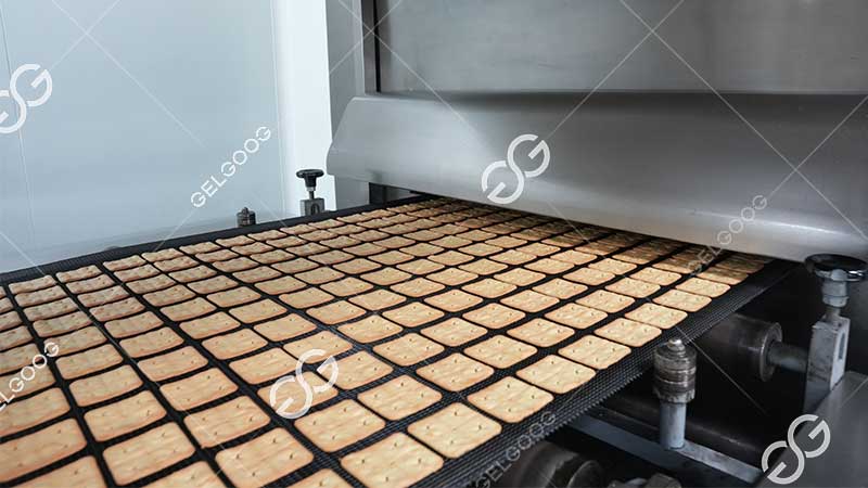 linha de processamento de biscoitos
