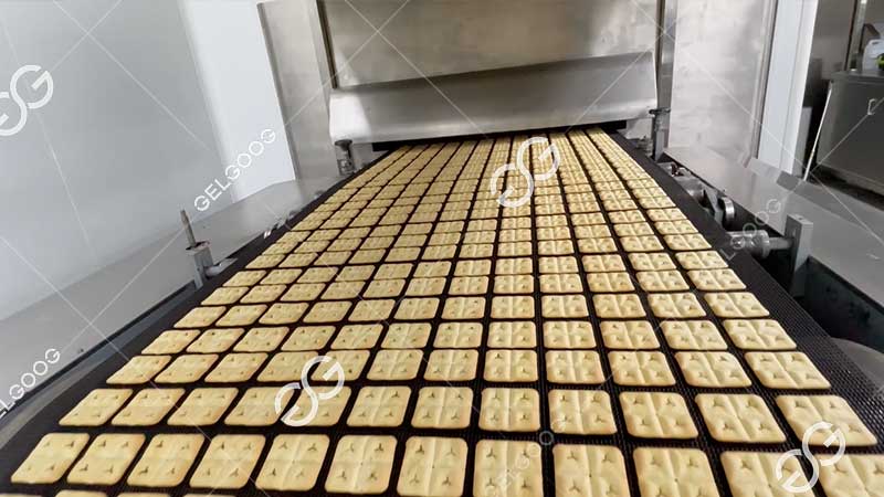 water cracker making machine